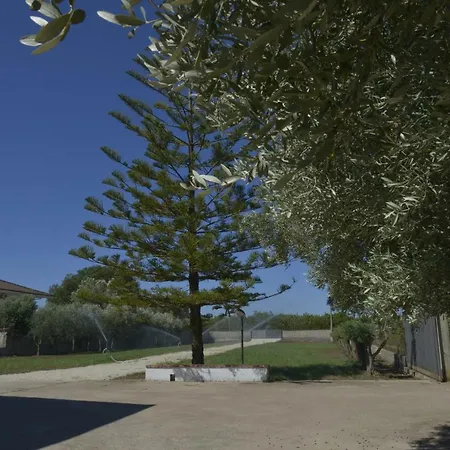 Theresa 卡帕乔-帕埃斯图姆