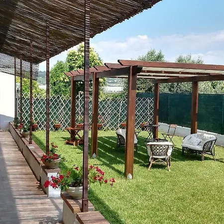 Theresa 卡帕乔-帕埃斯图姆