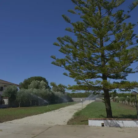 Bed & Breakfast Theresa Capaccio